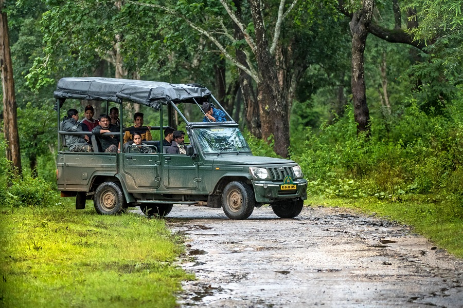 Karnataka Forest Ecotourism: Discovering Wildlife and Natural Wonders
